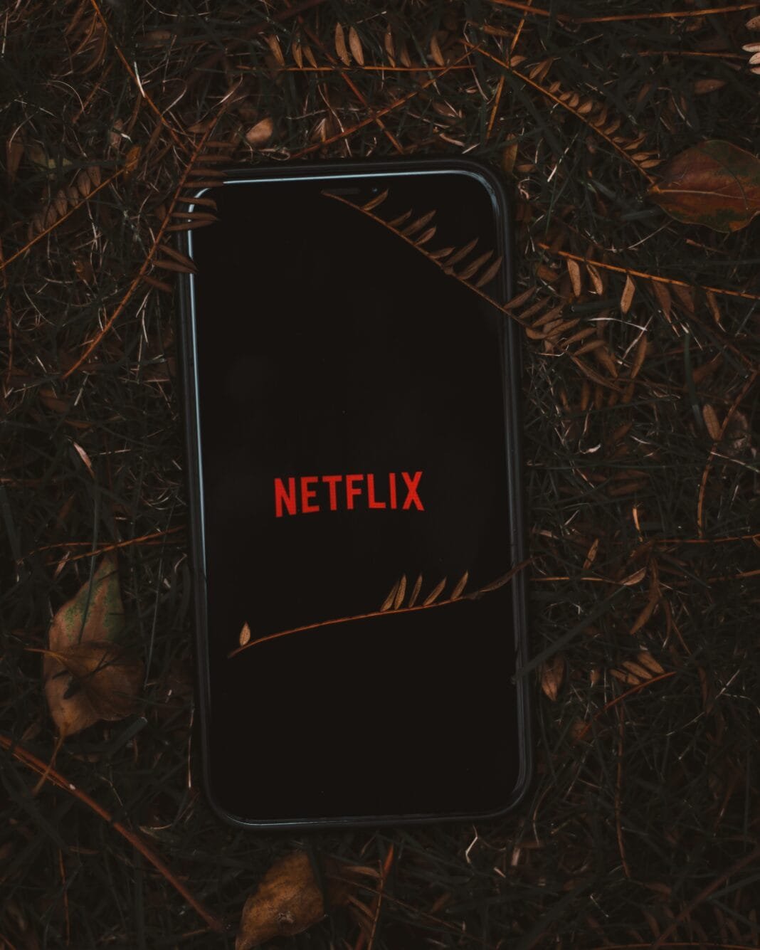 Ağustos Ayında Netflix Türkiye’de Yayınlanacak Tüm Yeni Dizi ve Filmler! Ağustos Ayında Netflix Türkiye’de Yayınlanacak Tüm Yeni Dizi ve Filmler!