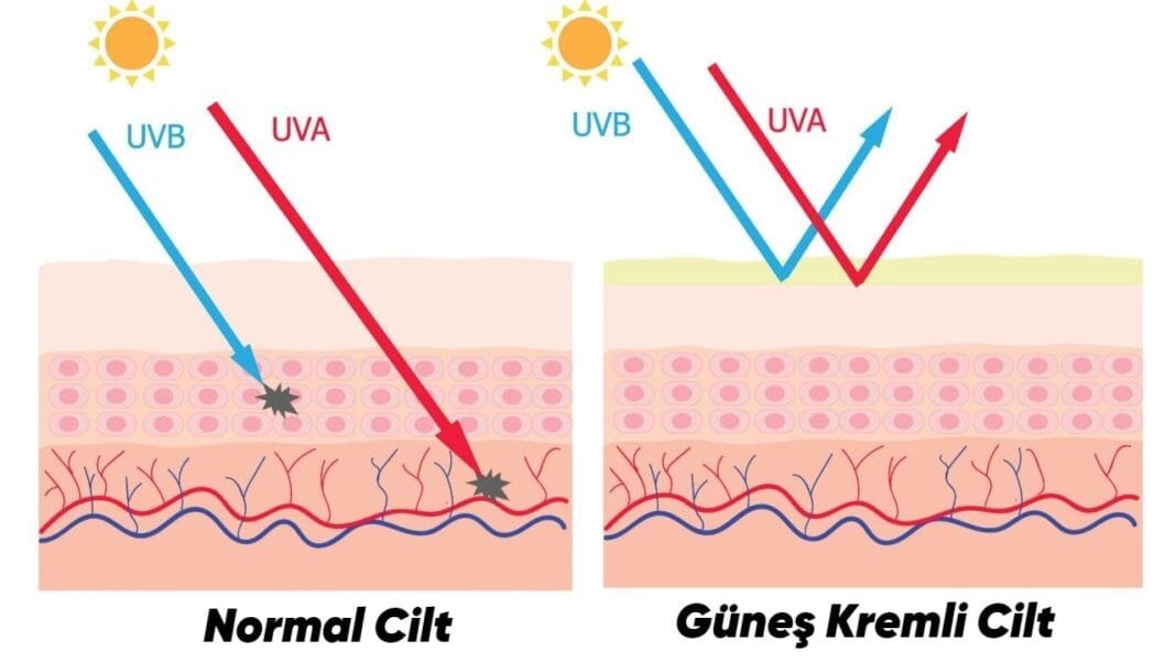 Güneş Kremleri Nasıl Oluyor da UV Işınlarını Engelleyebiliyor? Güneş Kremleri Nasıl Oluyor da UV Işınlarını Engelleyebiliyor?