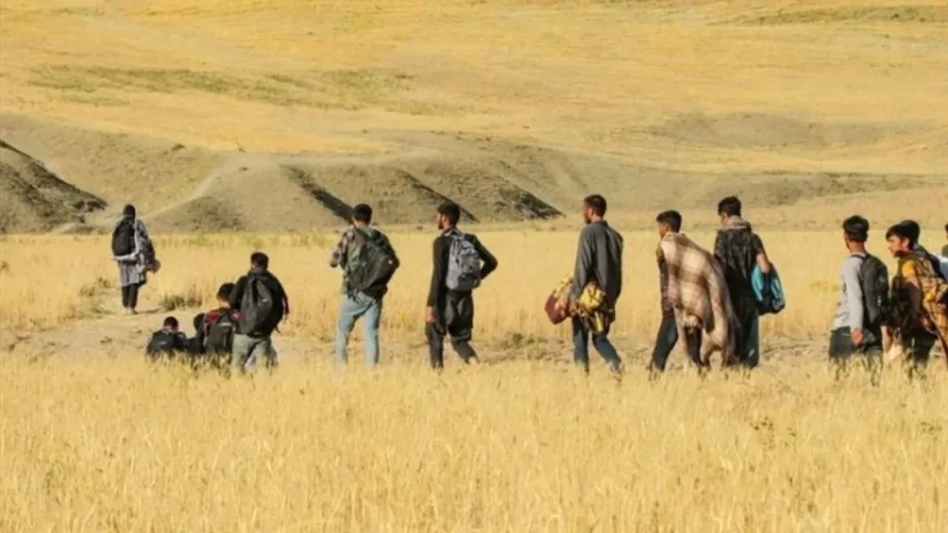 Van’da 12 düzensiz göçmen yakalandı! Van’da 12 düzensiz göçmen yakalandı!