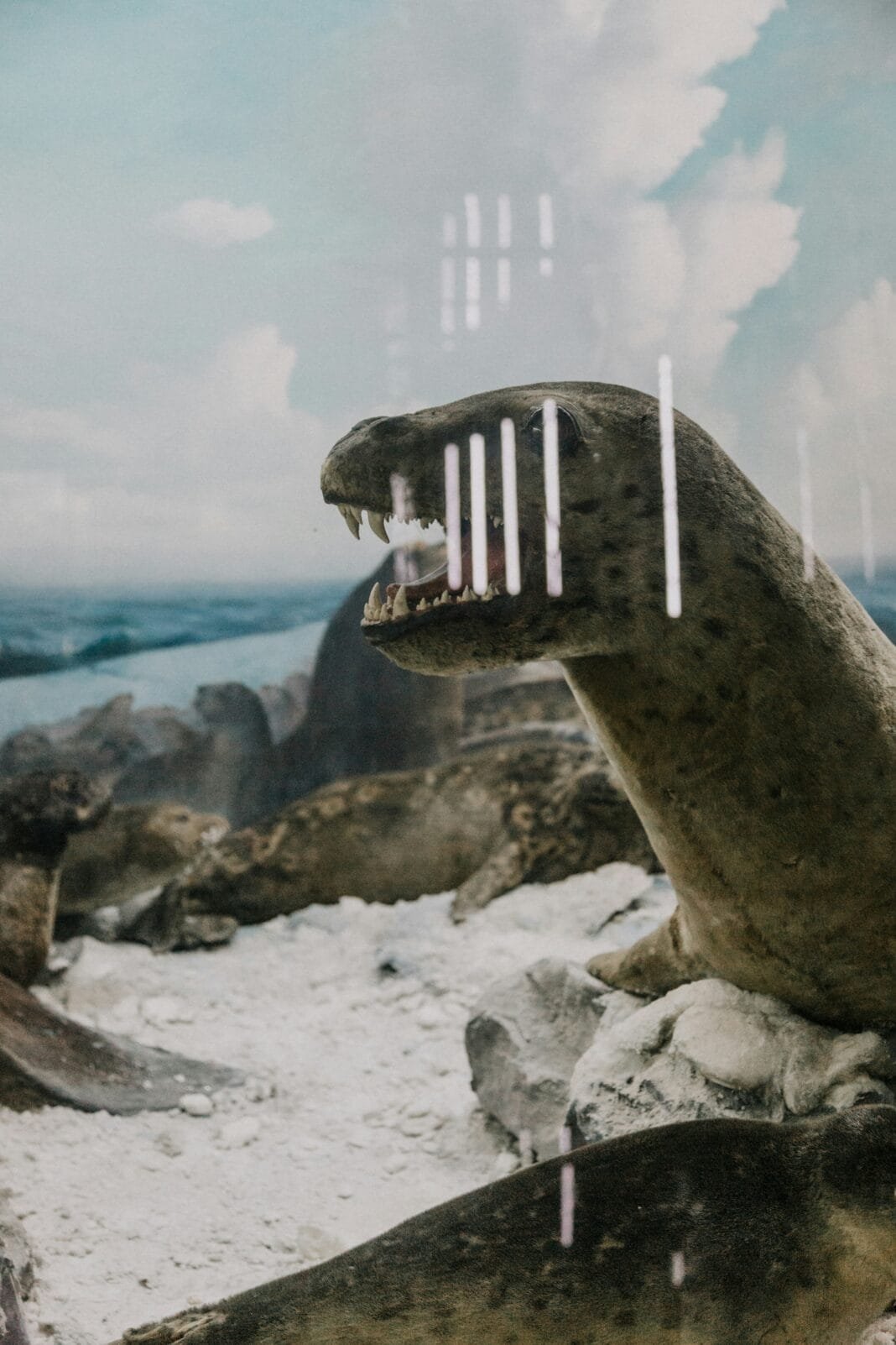 Dinozorlar Hangi Zaman Diliminde Yaşadı? Dinozorlar Hangi Zaman Diliminde Yaşadı?